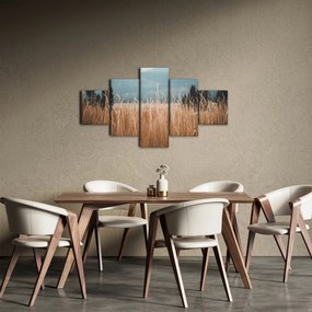 Obraz - szczegół łąki (125x70 cm)