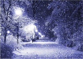 Obraz - Magiczna zimowa noc (70x50 cm)