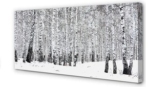Fotoobraz na płótnie Zimowy Krajobraz z Brzozami