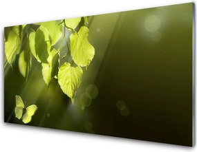 Szkło Dekoracyjne do Kuchni Promienie Słońca w Zielonych Liściach