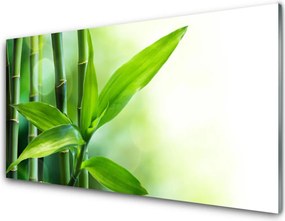 Szkło Ozdobne do Kuchni Egzotyczny Detal Liścia