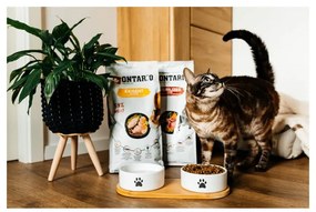 Zestaw ceramicznych misek dla psów ze stojakiem ø 13 cm Dog Fantasy – Plaček Pet Products