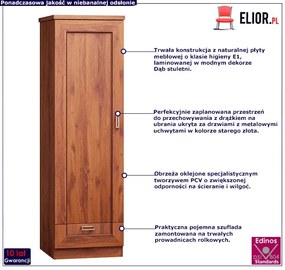 Szafa jednodrzwiowa dąb stuletni - Lorines 10X