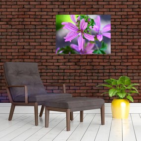 Zbliżenie kwiatu (70x50 cm)
