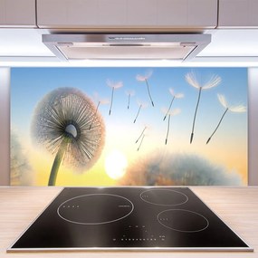 Panel Szklany Puszyste Parasolki Dmuchawca