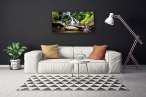 Obraz canvas Szumiący Leśny Potok