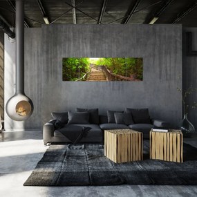 Obraz - Schody w przyrodzie (170x50 cm)