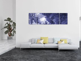 Obraz - Magiczna zimowa noc (170x50 cm)