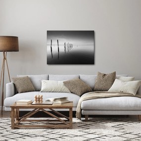 Obraz czarno - białej powierzchni wody (70x50 cm)