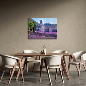 Obraz - Lewandowe pole (70x50 cm)