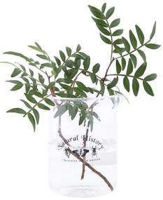 Szklany wazon (wysokość 12 cm) Natural History – Esschert Design