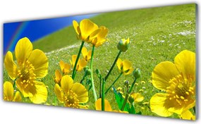 Panel nad blat kuchenny Tęcza Nad Kwitnącą Łąką