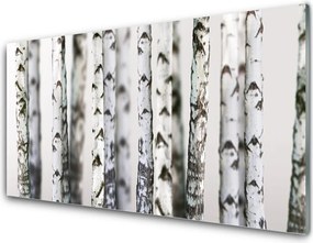 Panel Szklany Gęsta Korona Drzew