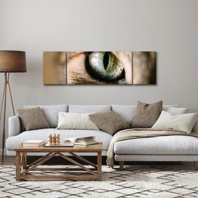 Obraz - Kocie oko (170x50 cm)