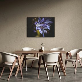 Obraz - Lilia (70x50 cm)