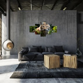 Obraz - Rysunek (125x70 cm)