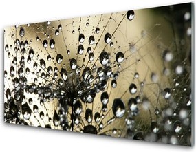 Szkło Dekoracyjne do Kuchni Lekkość Mniszka Lekarskiego