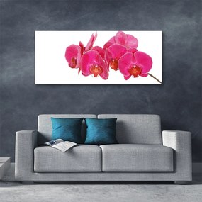 Obraz na płótnie Romantyczna Flora Ogrodowa