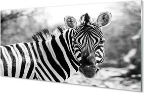 Panel szklany do Kuchni Zebra w Stylu Retro