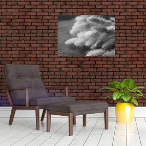 Obraz na szkle - trawa z króliczym ogonkiem na stole (70x50 cm)