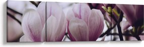 Obraz - Magnolia (170x50 cm)