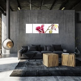 Obraz kwiatu orchidei (170x50 cm)