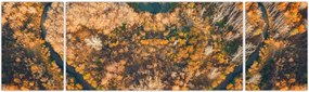 Obraz - Rzeka w kształcie serca (170x50 cm)