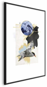 Plakat Rybitwa antarktyczna 21x30 cm z ramą czarną z marginesem ARTGEIST B