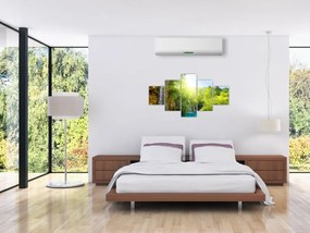 Obraz - wodospady w pralesie (125x70 cm)
