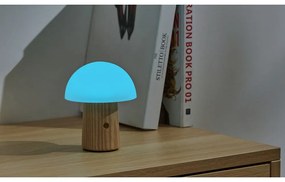 Naturalna lampa stołowa ze ściemniaczem i szklanym kloszem (wys. 13 cm) Alice – Gingko