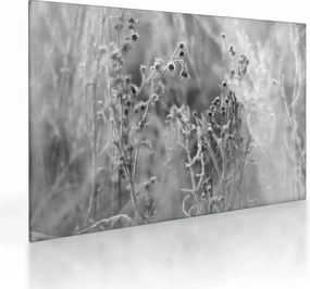 Obraz na szkle - Dzika łąka (70x50 cm)