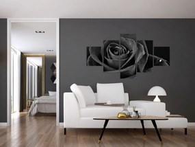 Obraz - Czerwona róża (125x70 cm)