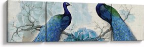 Obraz - Pawie tekstury (170x50 cm)