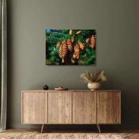 Obraz na szkle - szyszki (70x50 cm)