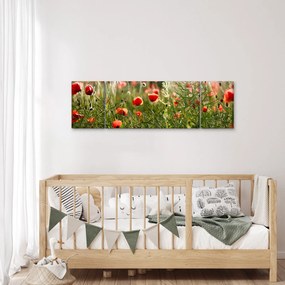 Obraz maków (170x50 cm)