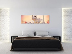 Obraz - Lis (170x50 cm)