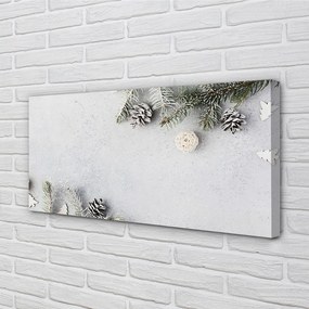 Obraz na płótnie Gałązki i Szyszki