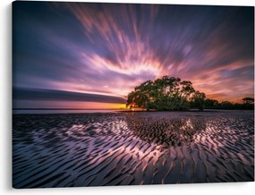 Obraz drzewa na plaży (70x50 cm)