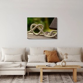 Obraz na szkle - serce z liny (70x50 cm)