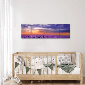 Obraz lawendowego pola (170x50 cm)