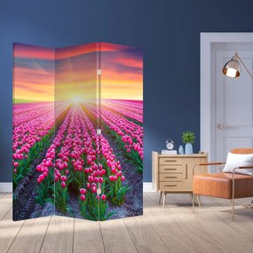 Parawan - Pole tulipanów ze Słońcem (126x170 cm)