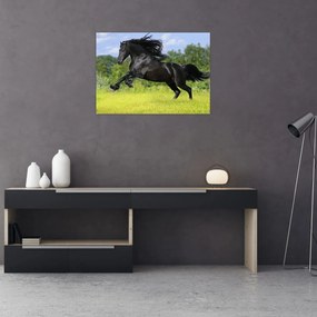 Obraz - Koń z płynącą grzywą (70x50 cm)