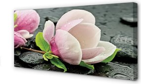 Obraz canvas na ścianę Magnolia i Kamienie