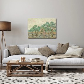 Obraz - Vincent van Gogh, The Olive Orchard, reprodukcje (70x50 cm)