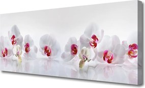 Obraz na płótnie Świeżość Kwiatów Polnych