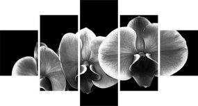 Obraz kwiatu orchidei (125x70 cm)