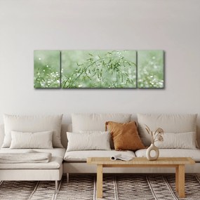 Obraz - Poranna rosa na źdźbłach trawy (170x50 cm)