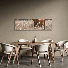 Obraz - Szkocka krowa w kwiatach (170x50 cm)