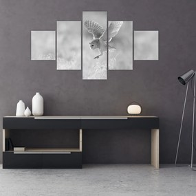 Obraz - Sowa na polu (125x70 cm)