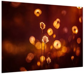 Obraz - Poranek (70x50 cm)